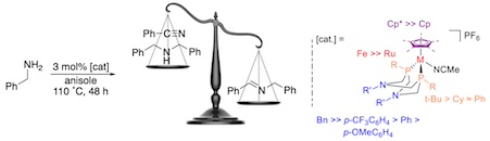 graphical abstract